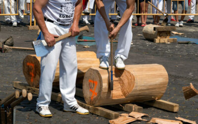 FIESTA DEL MUNICIPIO 2025